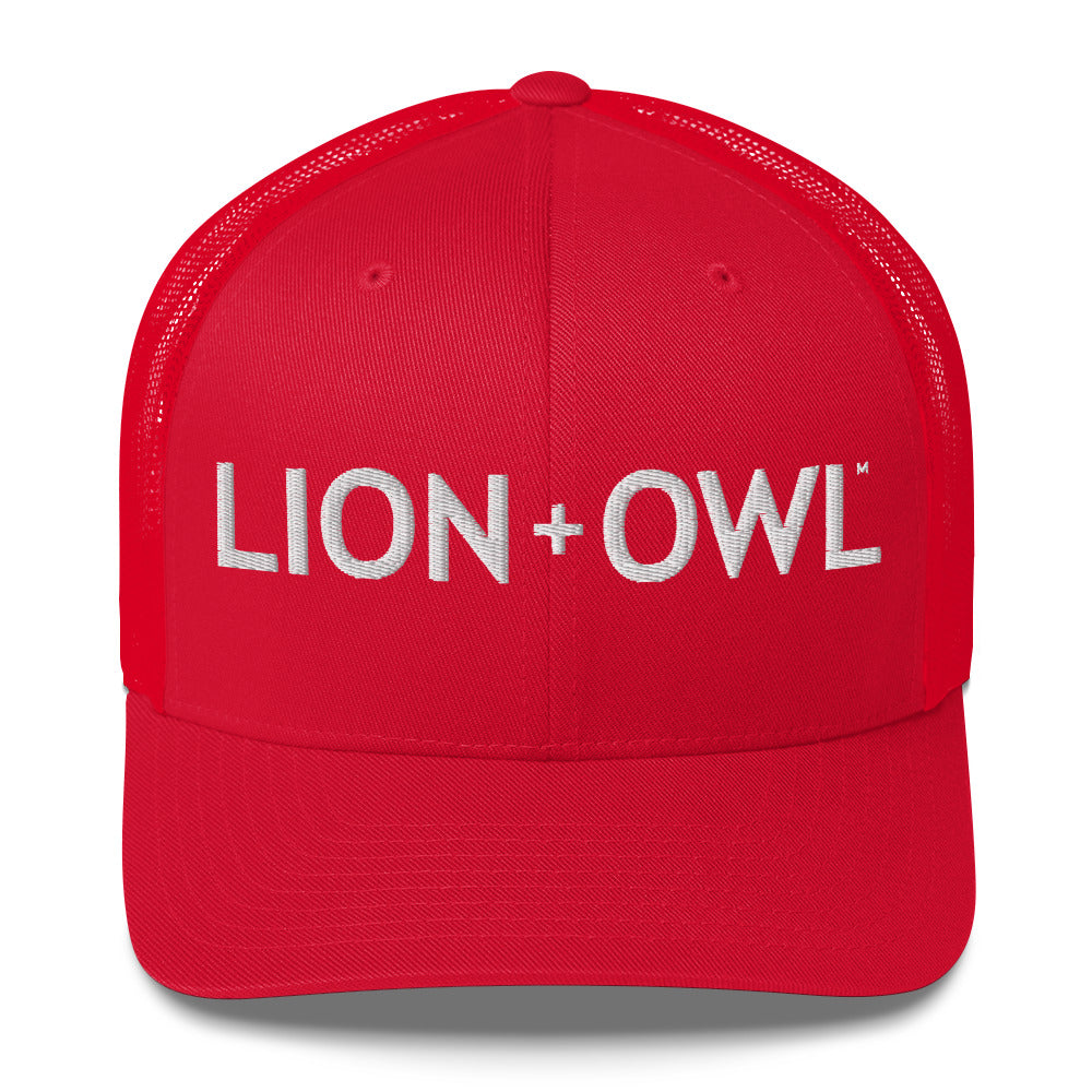 Lion+Owl Hat